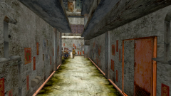 DimsumExt-9
