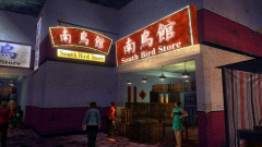ThreeBirds-25