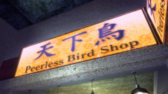 ThreeBirds-29