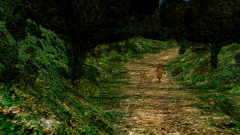 Cloud-Bird-Trail-2