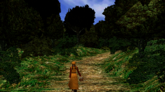 Cloud-Bird-Trail-4