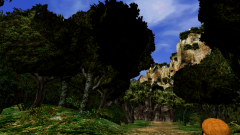 Cloud-Bird-Trail-5