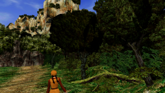 Cloud-Bird-Trail-6