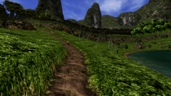 Green-Field-10