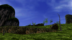 Green-Field-5