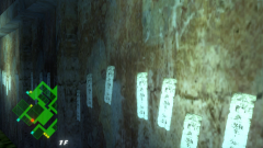 YHBLL-11