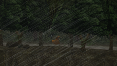 Muddy-Stream-5