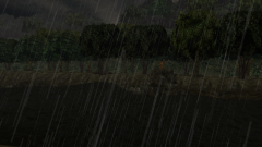 Muddy-Stream-7