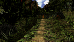 Path-Through-A-Wood-10