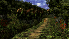 Path-Through-A-Wood-12