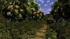 Path-Through-A-Wood-13