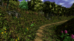 Path-Through-A-Wood-16