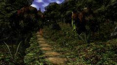 Path-Through-A-Wood-18
