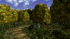 Path-Through-A-Wood-3