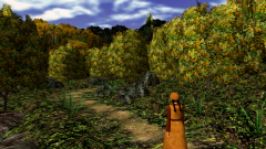 Path-Through-A-Wood-5