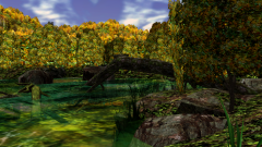 Path-Through-A-Wood-6