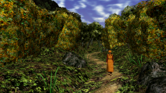 Path-Through-A-Wood-7