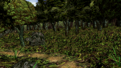 Path-Through-A-Wood-8