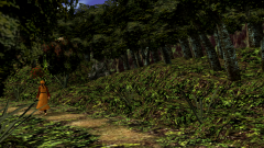 Path-Through-A-Wood-9
