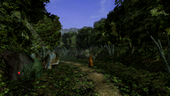 Forest-1