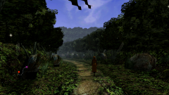 Forest-10