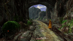 Forest-102