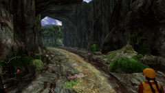 Forest-103