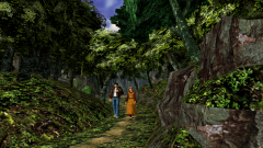 Forest-104