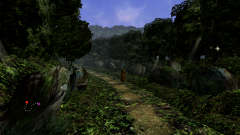 Forest-11