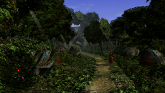 Forest-12