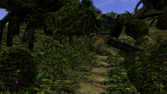 Forest-14