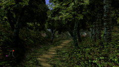 Forest-15
