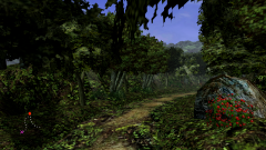 Forest-16