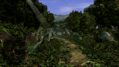Forest-18