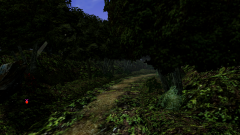 Forest-2
