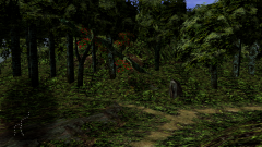 Forest-20