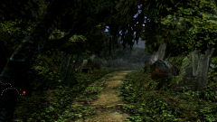 Forest-21