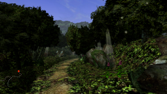 Forest-22