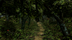 Forest-23