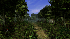 Forest-24