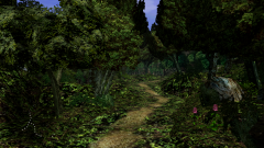 Forest-25