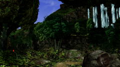 Forest-26
