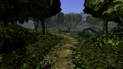 Forest-27