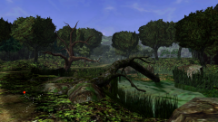 Forest-28