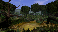 Forest-29