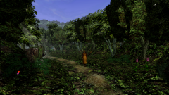 Forest-3