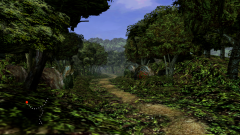 Forest-30