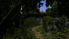 Forest-32
