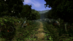 Forest-33