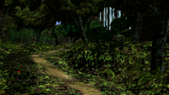 Forest-34